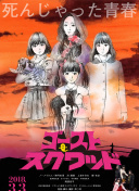 9.1极速版-9.1极速版最新版v12.54.27-2265安卓网
